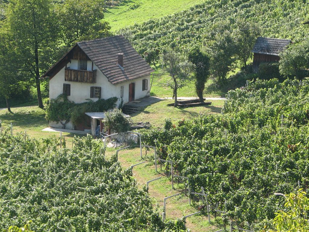 Guesthouse Zorko Gostilna Domen Smarjeske Toplice Eksteriør bilde