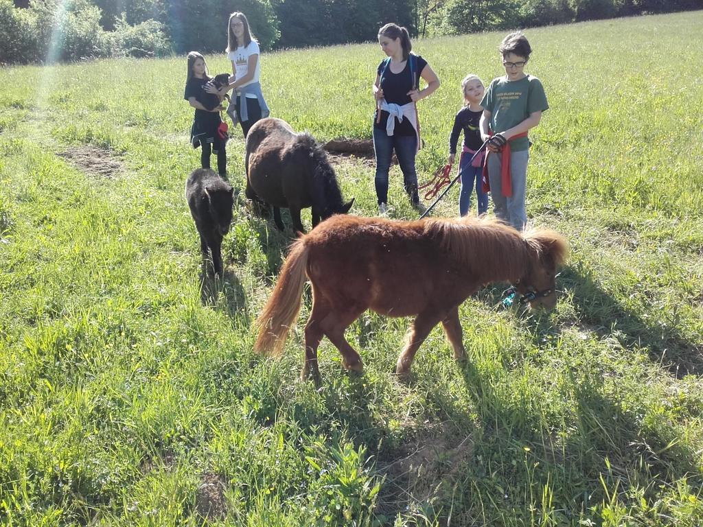 Guesthouse Zorko Gostilna Domen Smarjeske Toplice Eksteriør bilde